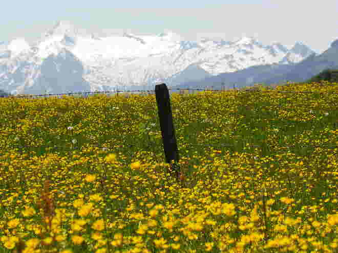 Blick zum Kitz