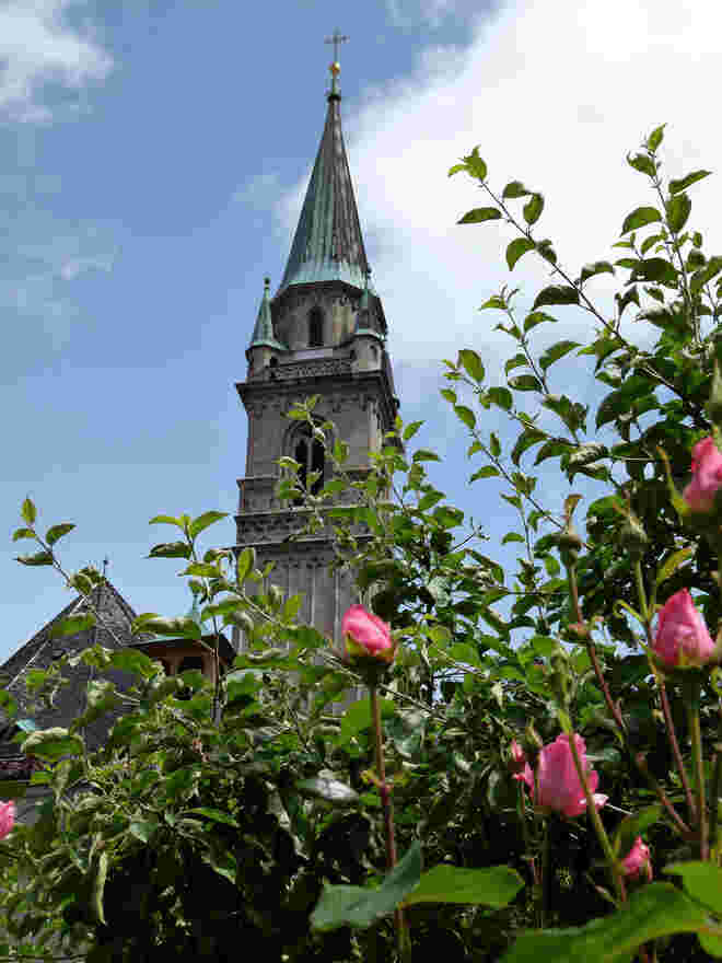 Blick aus dem Klostergarten