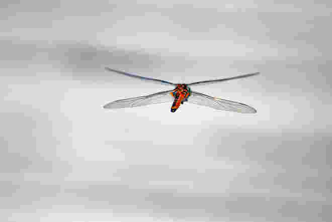 Das Flugzeug für Herlinde