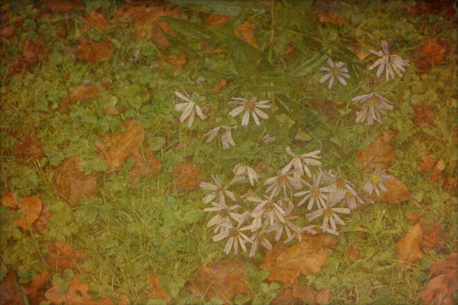 Nach dem Wetterumschwung