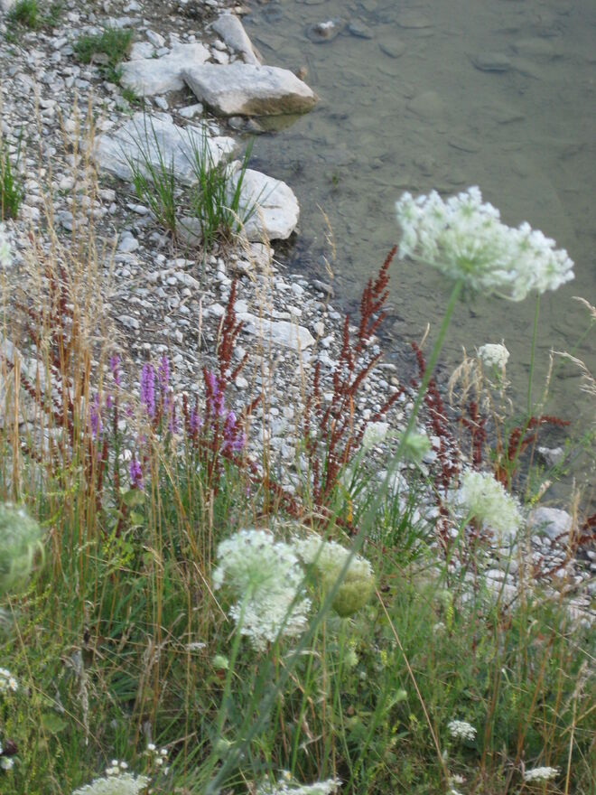 Ein wenig beschreibender Text