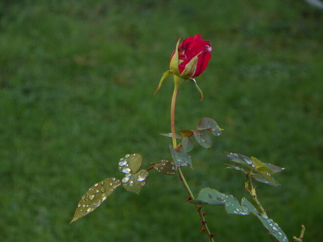 Ein wenig beschreibender Text