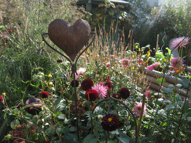 In meinem Garten......