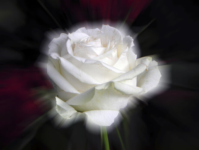 Eine hab ich noch :-)