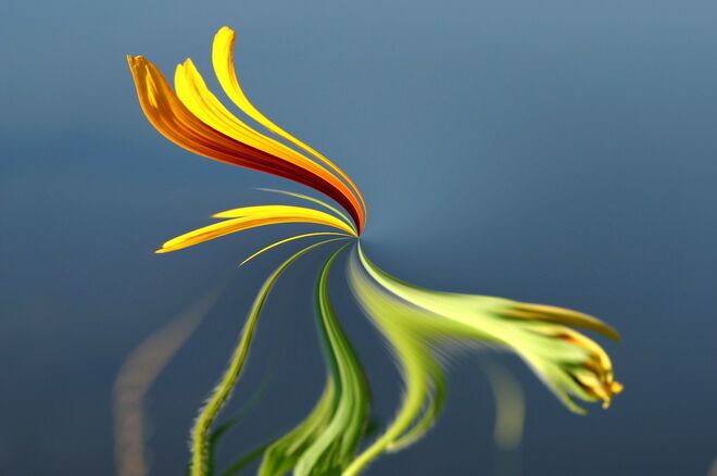 Ein wenig beschreibender Text