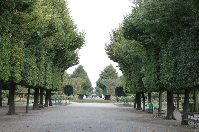 Baumschnitt in Schönbrunn