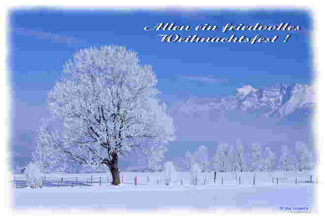 Allen Blog-Freunden und dem SN-Team frohe Weihnachten