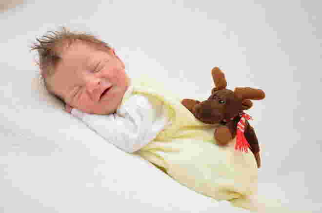 Elias Matteo