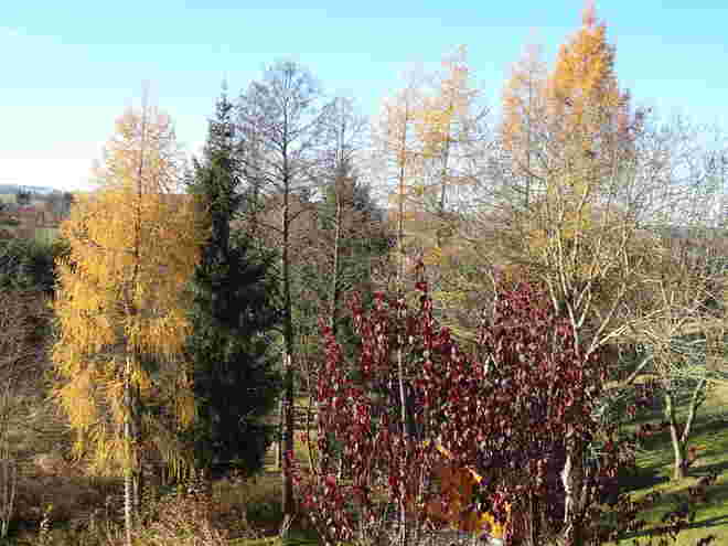 Herbst...
