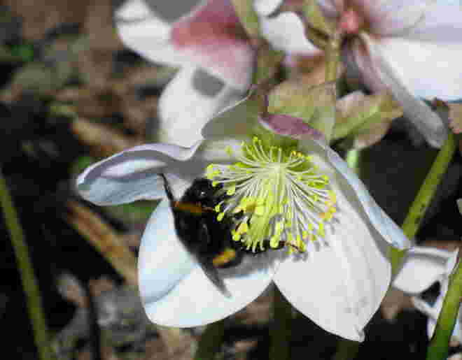 Frühling