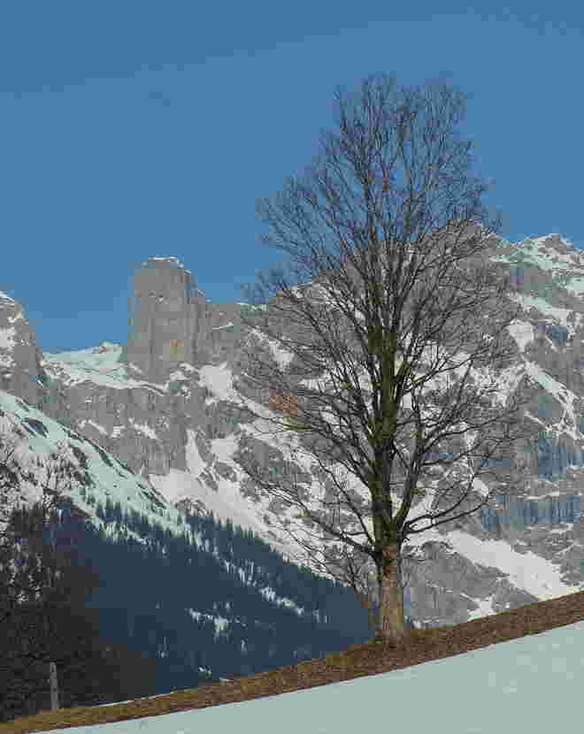 Blick zum Steinernen Meer