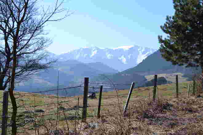 Schneeberg