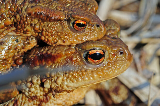 Von Liebe keine Spur