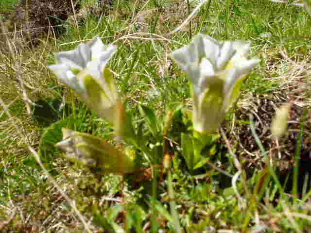 Garten der Natur