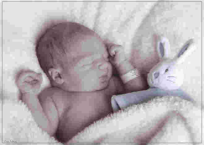 Boschele Noah