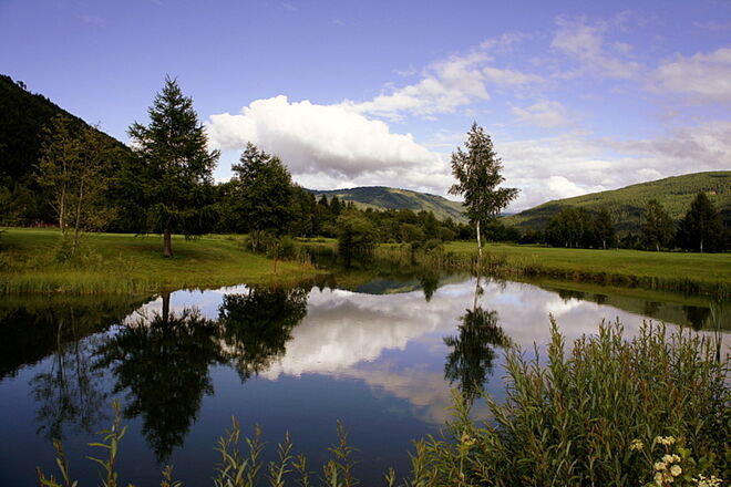 Im Abendlicht heute beim Golfplatz