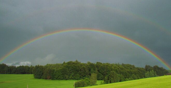 Regenbögen