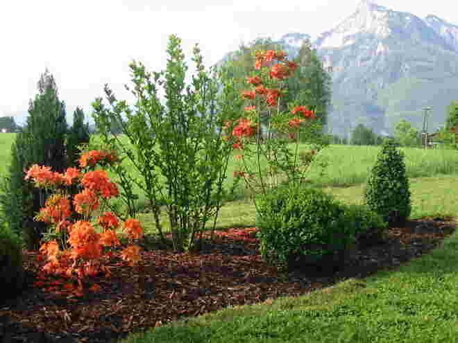schöne Aussicht