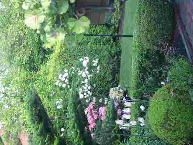 mein Garten