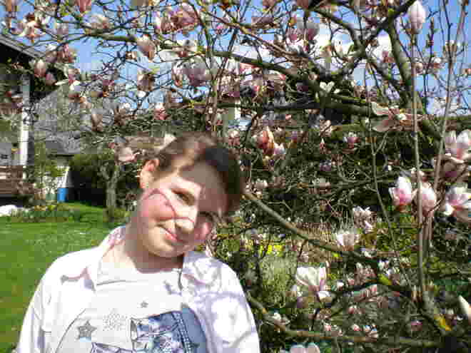 Magnolientraum