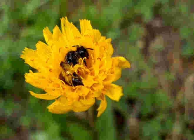 Mittagsschlaf