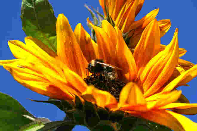 Beeindruckende Kontraste