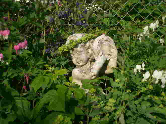 Frühlingsgefühle