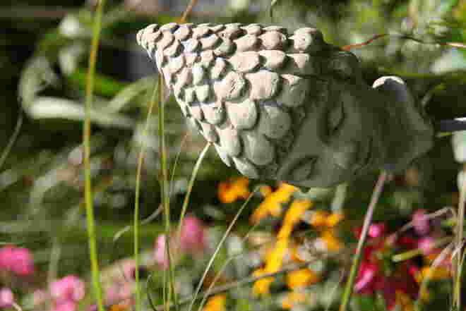 Blumenkind