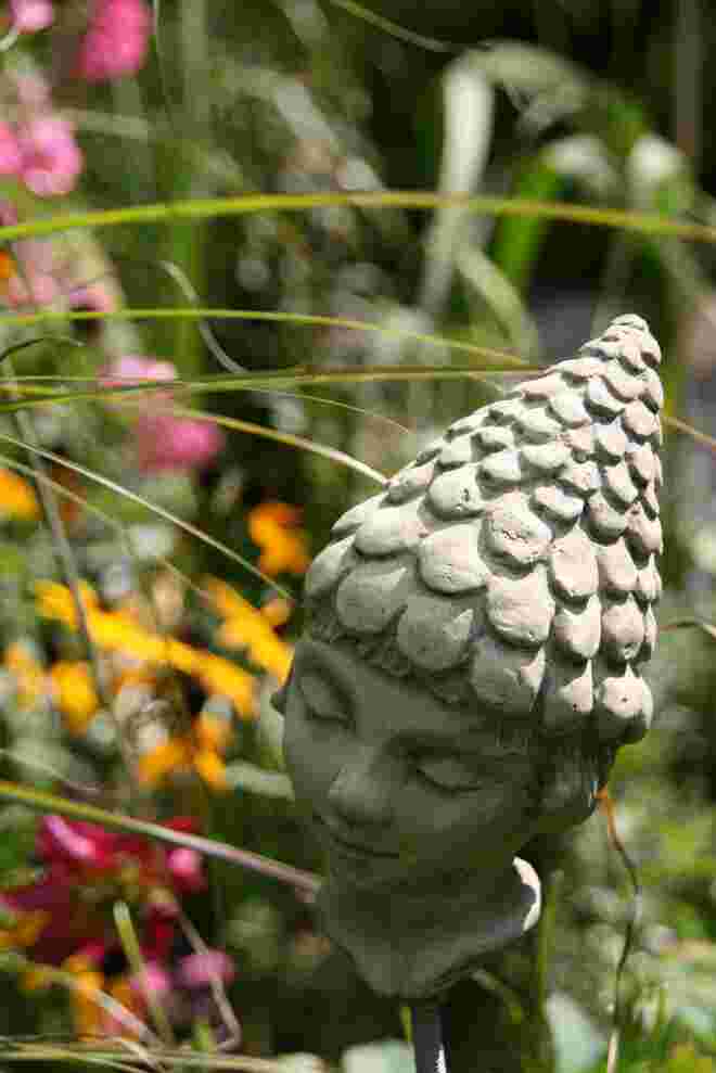 Blumenkind1