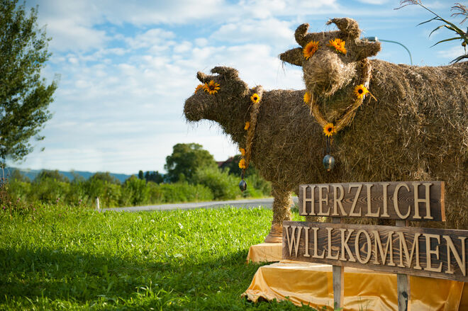 Heukühe Resi & Rosi