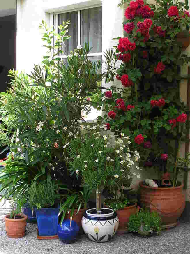 Bunt gemischt