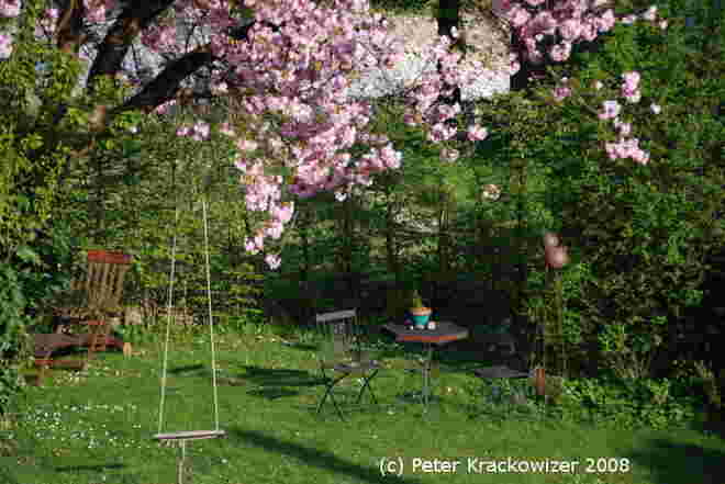 des Nachbars Garten...