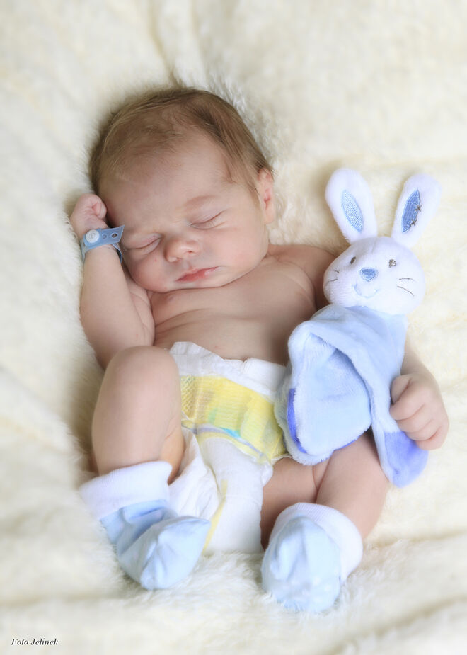 Felix Josef Langreiter