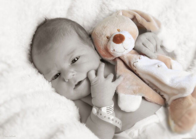 Maximilian Vorreiter