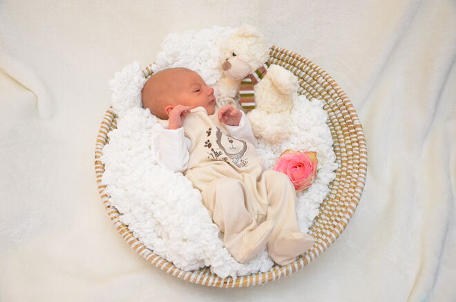 Maximilian Doleschal