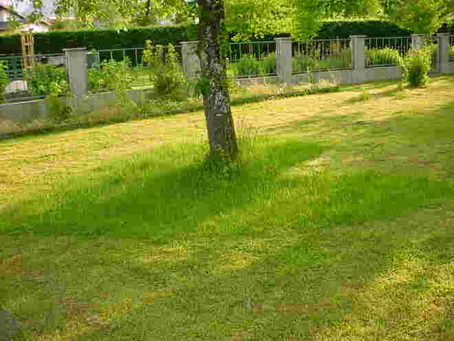 ein Herz für den Garten