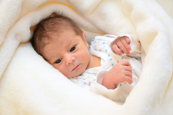 David Nikolae Tabeica