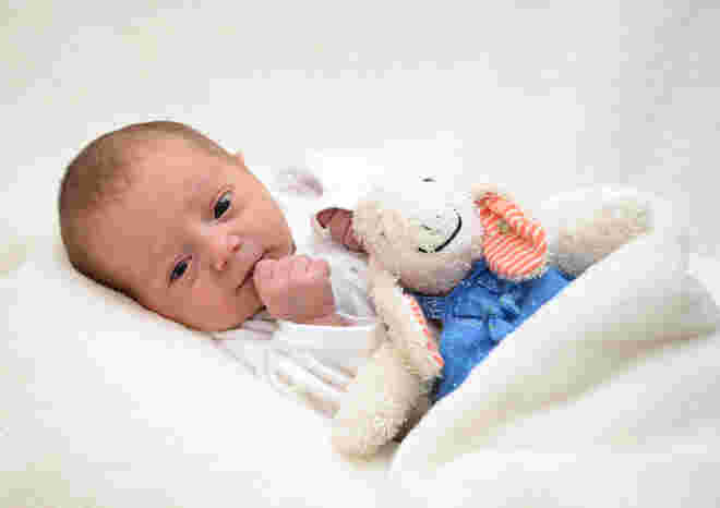 Charlotte Sophie Stein