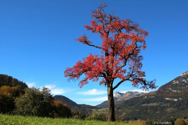 Herbst im Ausseerland