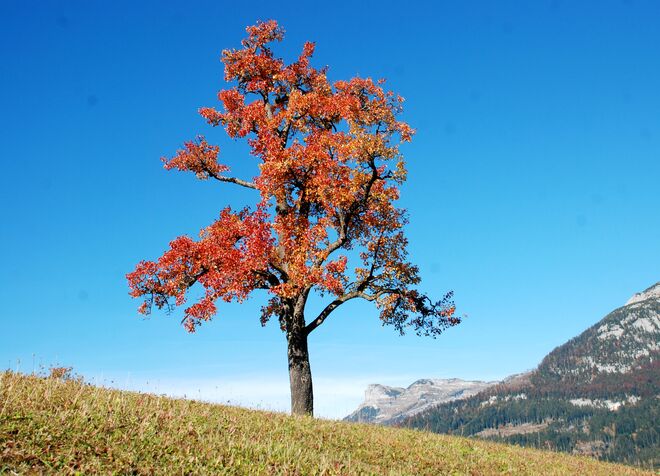 Das war 2011 . . . . .