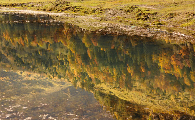 Ungewöhnlicher Blick auf den Herbst