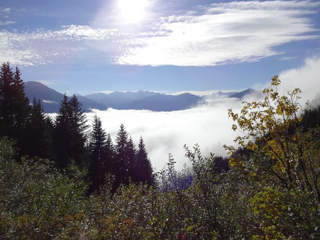 Herbstliches Nebelziehen