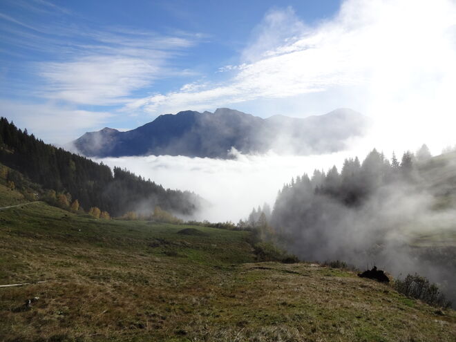 Herbstliches Nebelziehen
