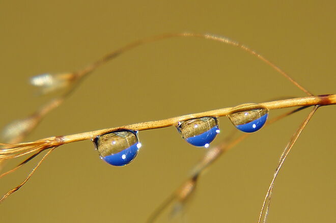 Bergwelt in den Tropfen