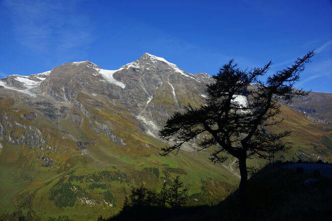 Die Schatten werden immer mehr - Blick zum Wiesbachhorn