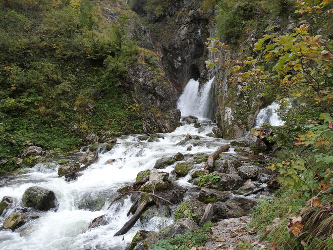 Dachserfall in Abtenau
