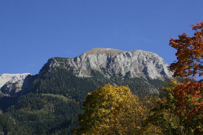 Bei unseren Nachbarn