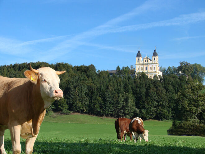 Blick nach Maria Plain