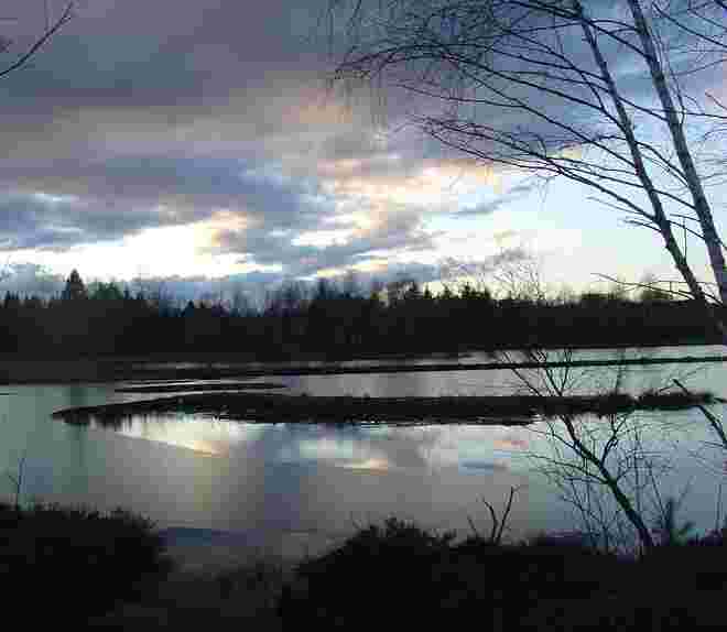 Eis am Moorsee