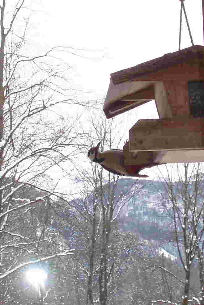 Futterhaus